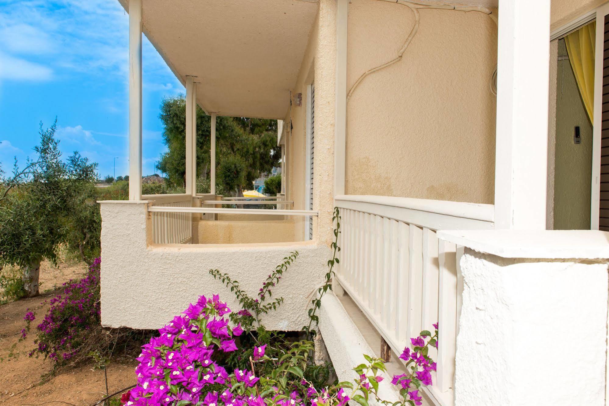 Hotel Vergina Lagonisi Ngoại thất bức ảnh